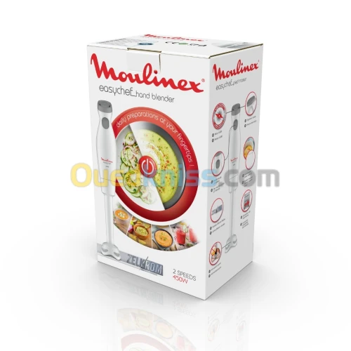 MIXEUR EASYCHEF BLANC 450W BLANC