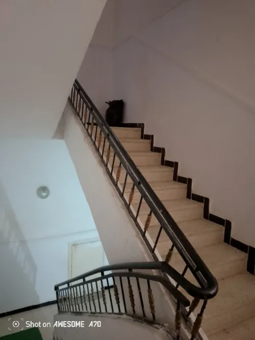 Vente Villa Alger Bouzareah