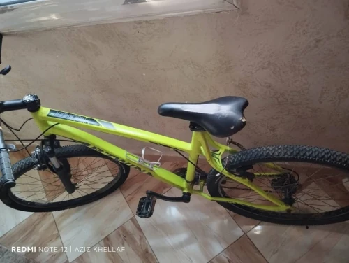 Vélo bitwin français 