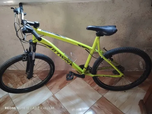 Vélo bitwin français 