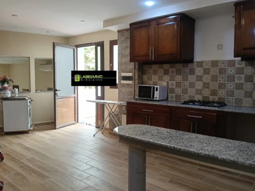 Location Appartement Niveau de villa Studio Alger El biar