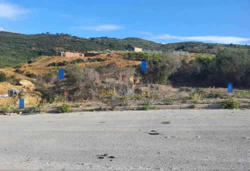 Vente Terrain Skikda Hamadi krouma