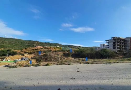 Vente Terrain Skikda Hamadi krouma