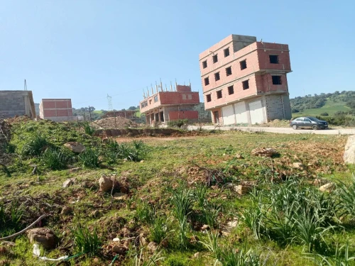Vente Terrain Skikda Hamadi krouma