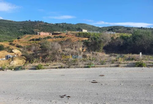 Vente Terrain Skikda Hamadi krouma