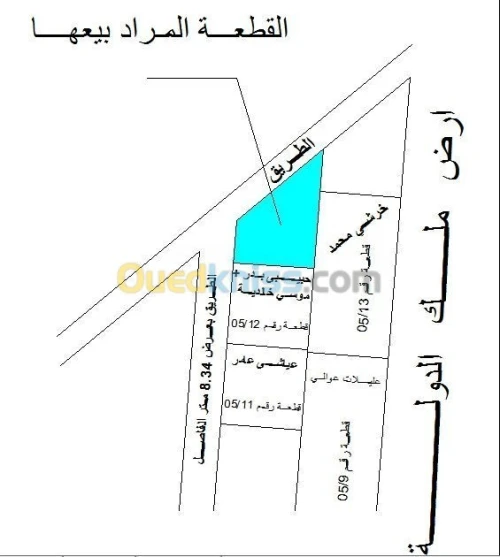 Vente Terrain Saïda Saida