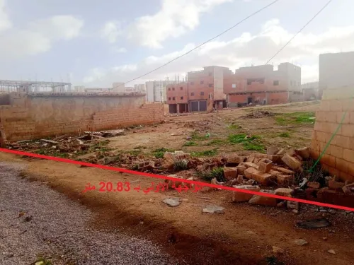 Vente Terrain Saïda Saida