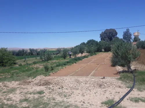 Vente Terrain M'Sila Chellal