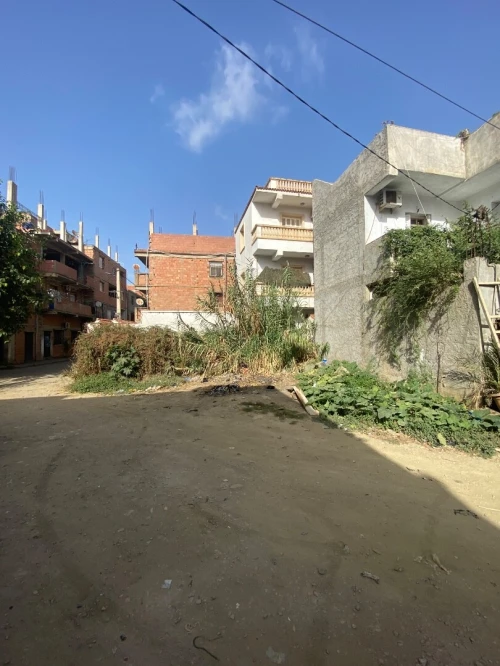 Vente Terrain Alger Douera