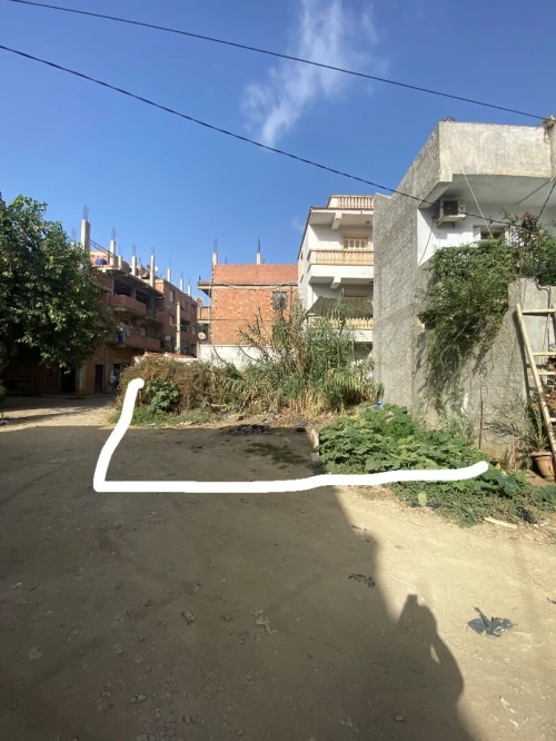 Vente Terrain Alger Douera