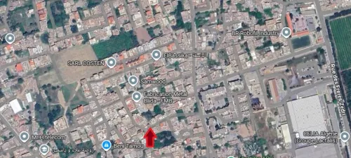 Vente Villa Blida Beni tamou
