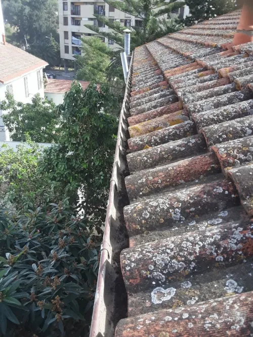          étanchéité charpentier annaba ®