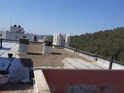          étanchéité charpentier annaba ®