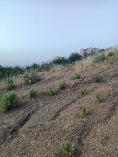 Vente Terrain Tizi Ouzou Azeffoun