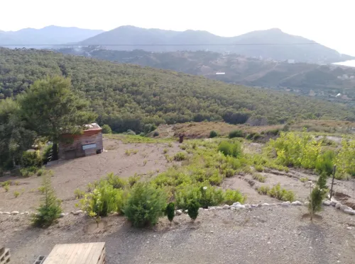 Vente Terrain Tizi Ouzou Azeffoun