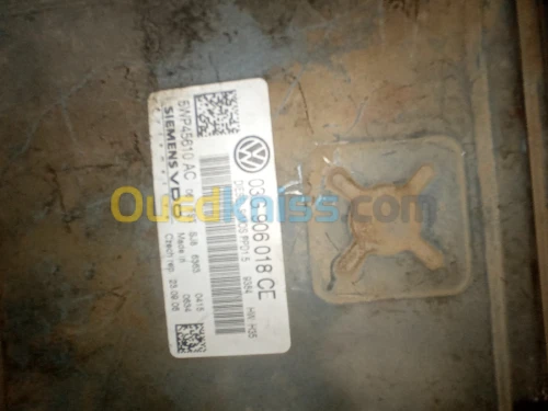 Calculateurs Passat B6 siemens 