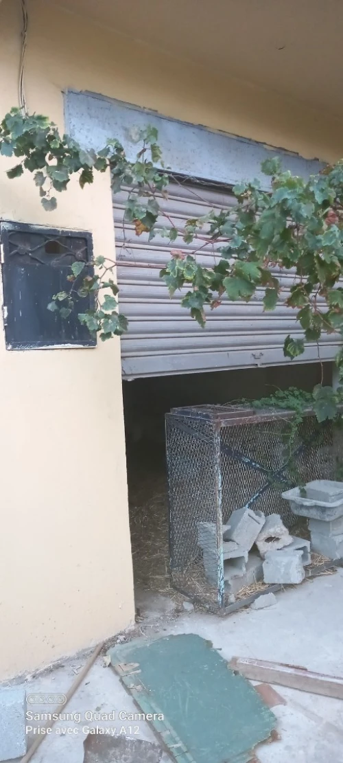 Vente Villa Annaba El bouni