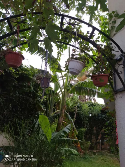 Vente Villa Alger El marsa