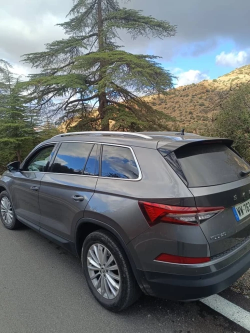 Skoda Kodiaq 2024 