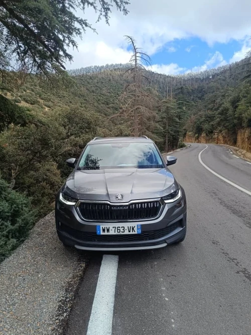 Skoda Kodiaq 2024 