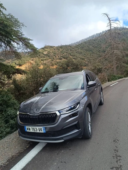 Skoda Kodiaq 2024 