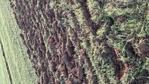Vente Terrain Agricole Djelfa Ain oussara