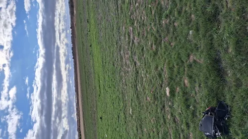 Vente Terrain Agricole Djelfa Benhar
