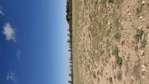 Vente Terrain Djelfa Ain oussara