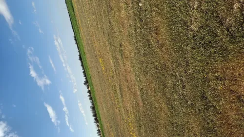 Vente Terrain Agricole Djelfa Ain oussara