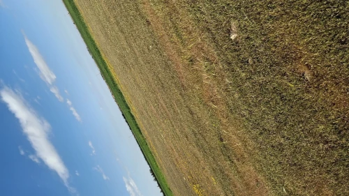 Vente Terrain Agricole Djelfa Ain oussara