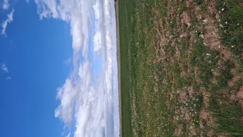Vente Terrain Agricole Djelfa Ain oussara