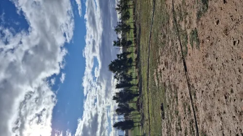 Vente Terrain Agricole Djelfa Benhar
