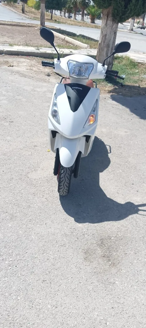 Dayang cargo 125cc 28d 2024