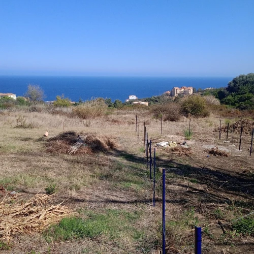 Vente Terrain Tizi Ouzou Tigzirt