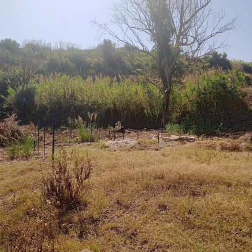 Vente Terrain Tizi Ouzou Tigzirt
