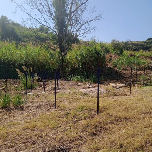Vente Terrain Tizi Ouzou Tigzirt