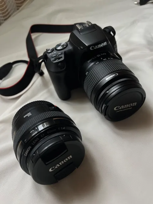 Canon EOS 250D avec objectif 18-55 mm + objectif 50 mm f/1.4 + deux batteries + chargeur original