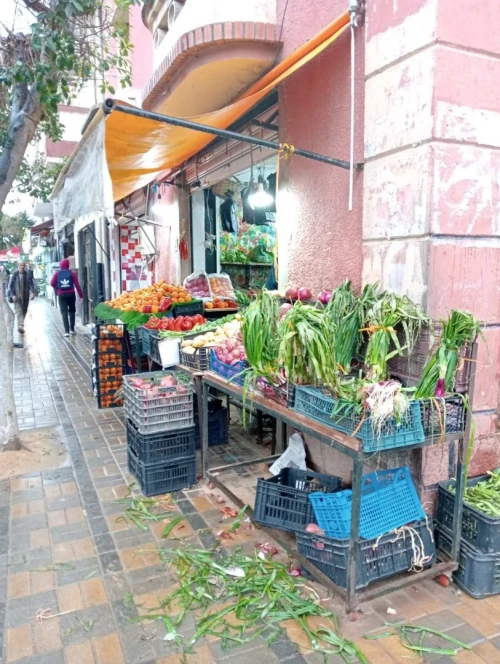 Location Local Alger Staoueli