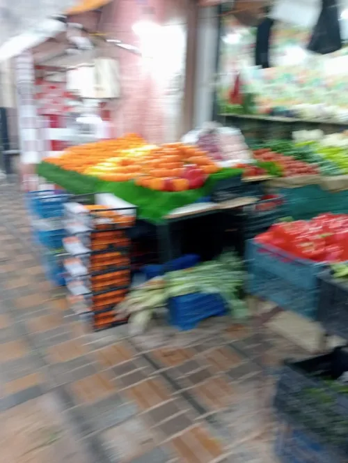 Location Local Alger Staoueli