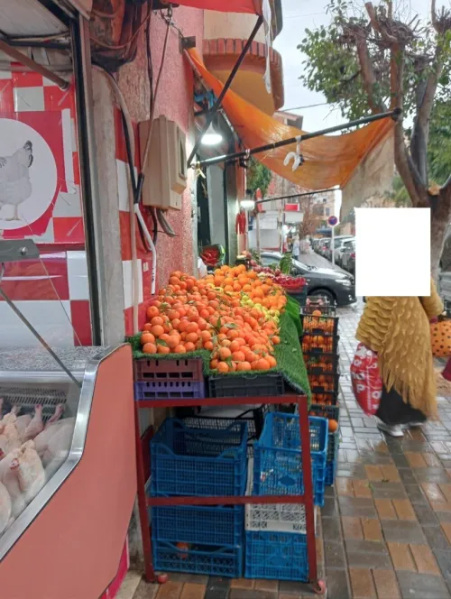 Location Local Alger Staoueli