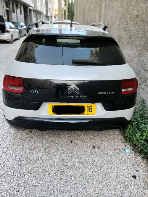 Citroen C4 Cactus 2015 C4 Cactus