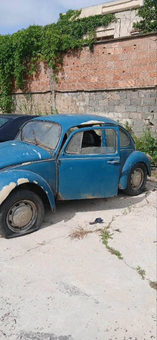 Volkswagen Vw 1984 