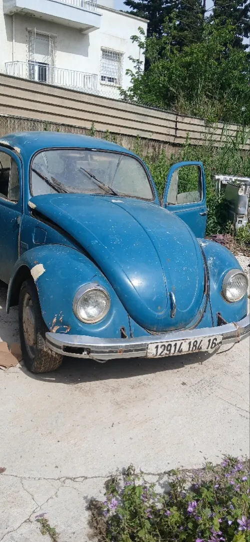 Volkswagen Vw 1984 