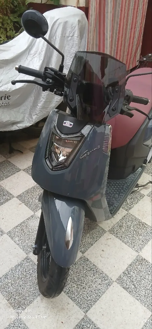 Vms Gemma 2026