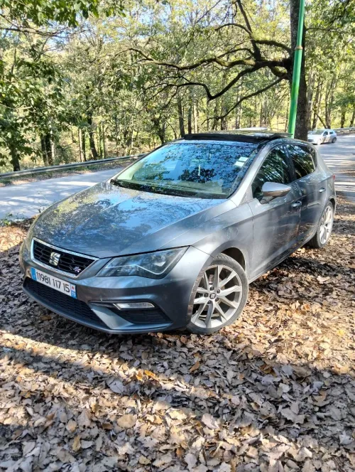 Seat Leon 2017 