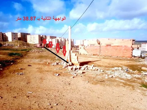 Vente Terrain Saïda Saida