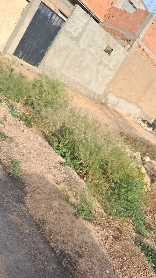 Vente Terrain Oran Tafraoui