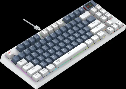 CLAVIER GAMER HAVIT MECANIQUE KB884L