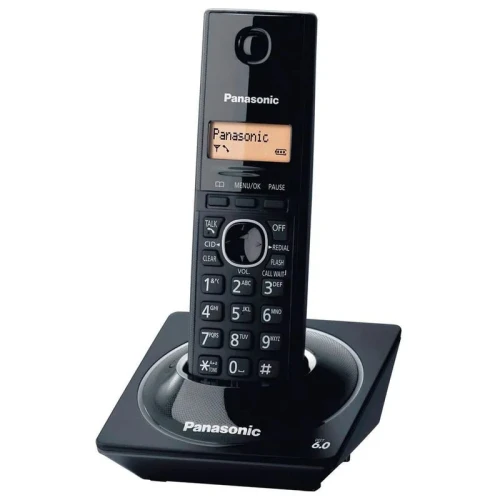 PANASONIC TG1711