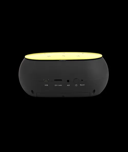HAUT PARLEUR BLUETOOTH AWEI Y200